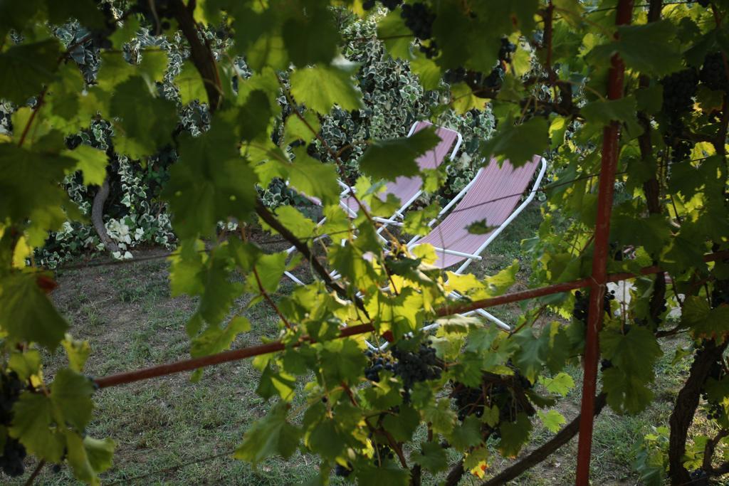 Kucica Ljubcek Villa Privlaka  Camera foto